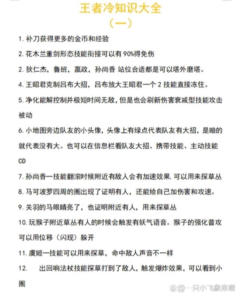 王者榮耀冷知識小技巧，王者你不知道的冷知識？-第3張圖片-猴鯊游戲