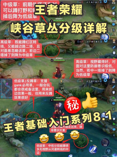 王者榮耀盜賊蹲草叢，王者榮耀盜賊蹲草叢怎么躲-第2張圖片-猴鯊游戲
