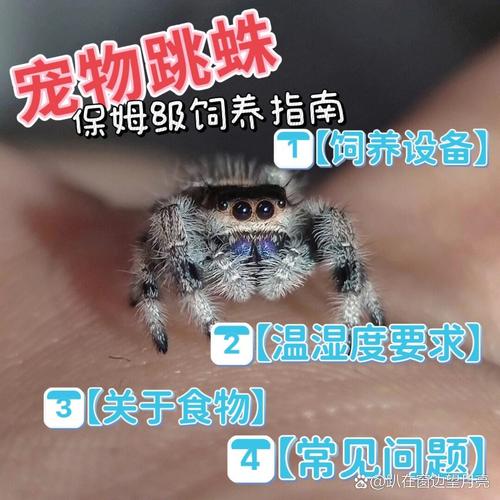 王者榮耀的嘲諷詞語，王者榮耀嘲諷的話？-第4張圖片-猴鯊游戲