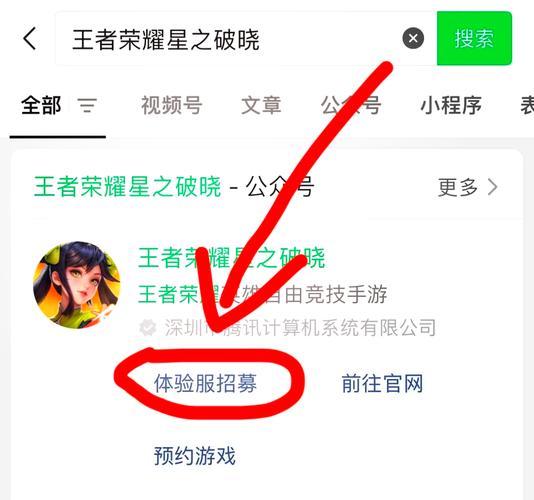 王者榮耀體驗(yàn)服怎樣，王者榮耀體驗(yàn)服怎樣申請(qǐng)-第5張圖片-猴鯊游戲