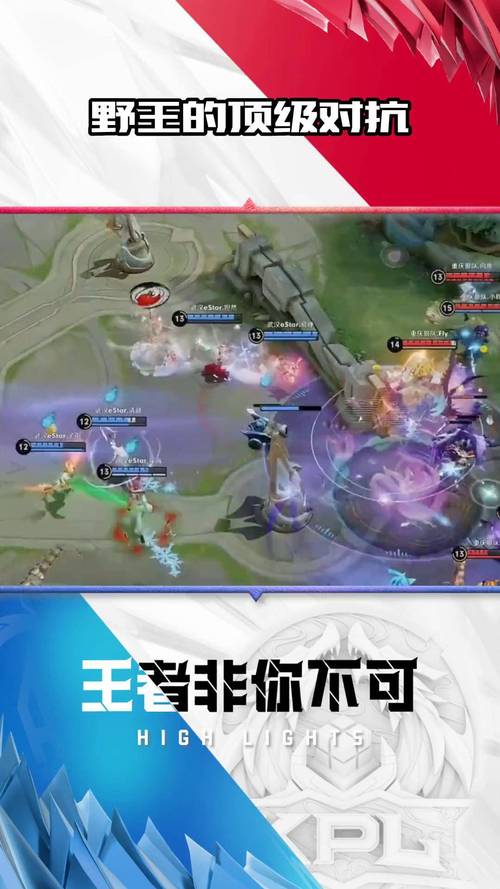王者榮耀打野職業(yè)比賽，王者職業(yè)比賽常用打野-第3張圖片-猴鯊游戲