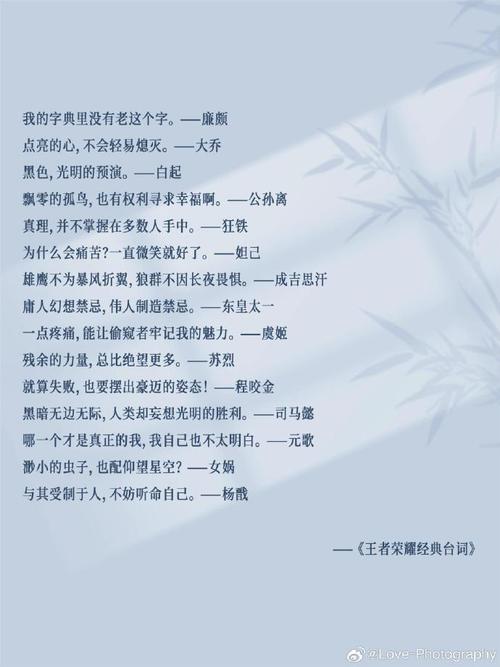 王者榮耀傷感好詞好句？王者榮耀傷感經(jīng)典語錄？-第1張圖片-猴鯊游戲