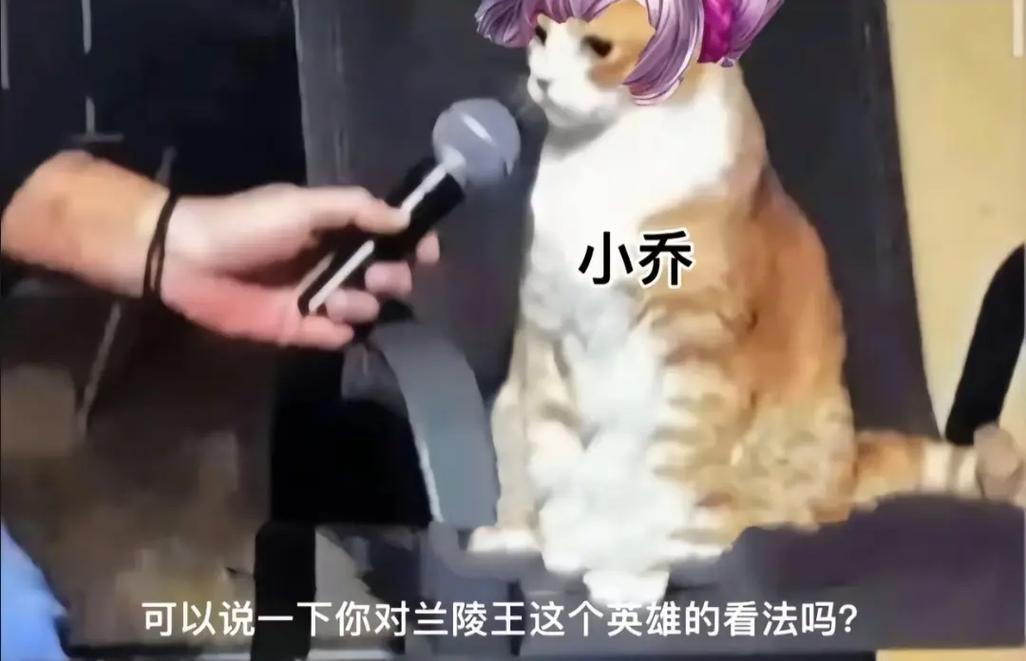 王者榮耀小狗技能教學(xué)，王者榮耀小母狗？-第2張圖片-猴鯊游戲