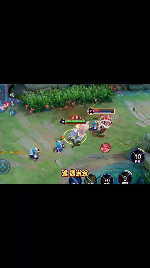 王者榮耀打后排技巧，王者后排是什么？-第4張圖片-猴鯊游戲