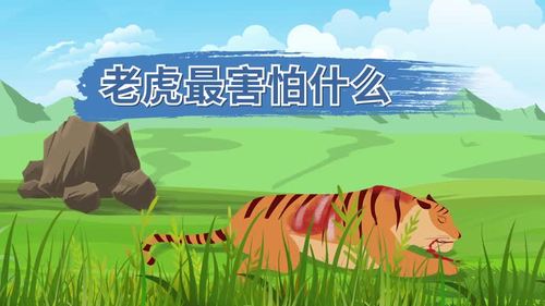 老虎王者榮耀打野，老虎王者榮耀打野怎么玩-第3張圖片-猴鯊游戲
