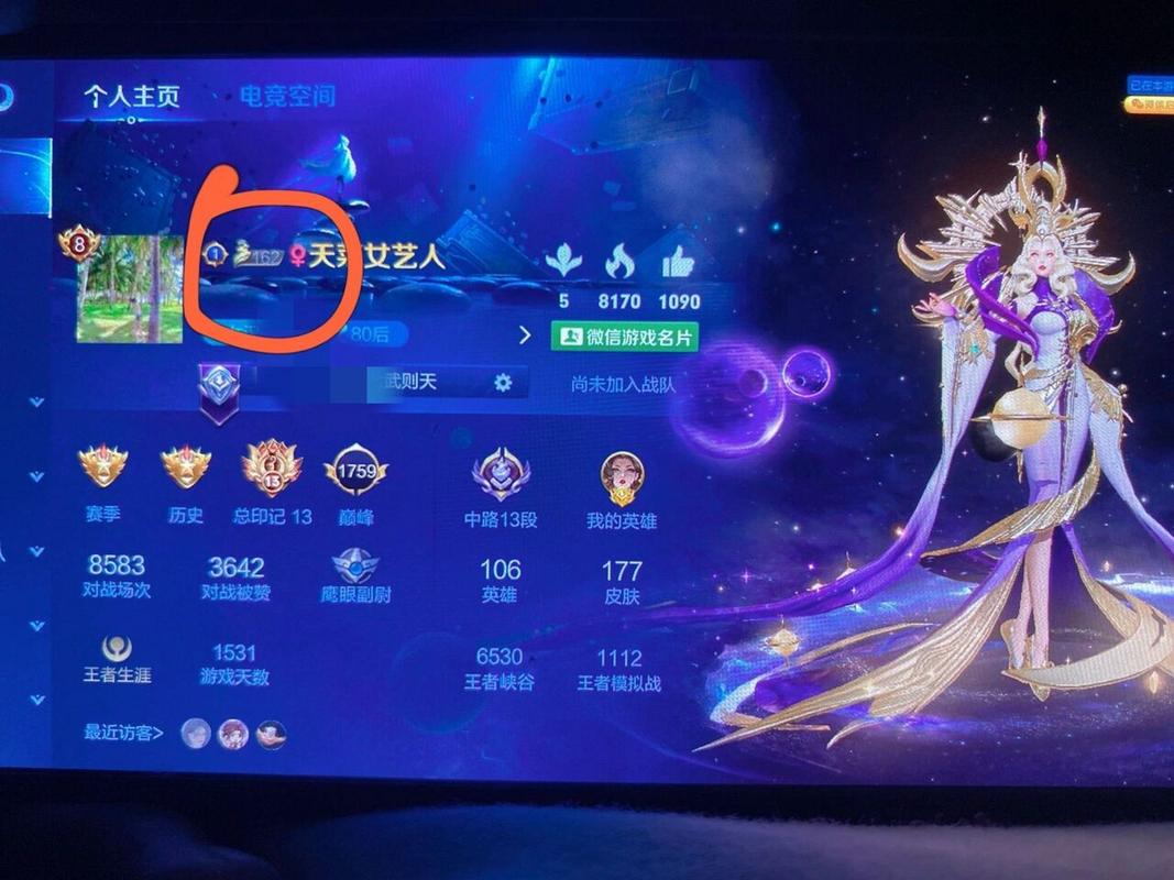 王者榮耀比較高成就等級，王者榮耀成就等級比較高的玩家-第5張圖片-猴鯊游戲