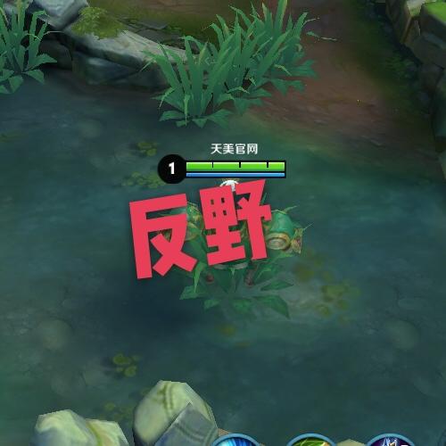 王者榮耀敵我打野意思是？王者榮耀敵我英雄大對比？-第6張圖片-猴鯊游戲
