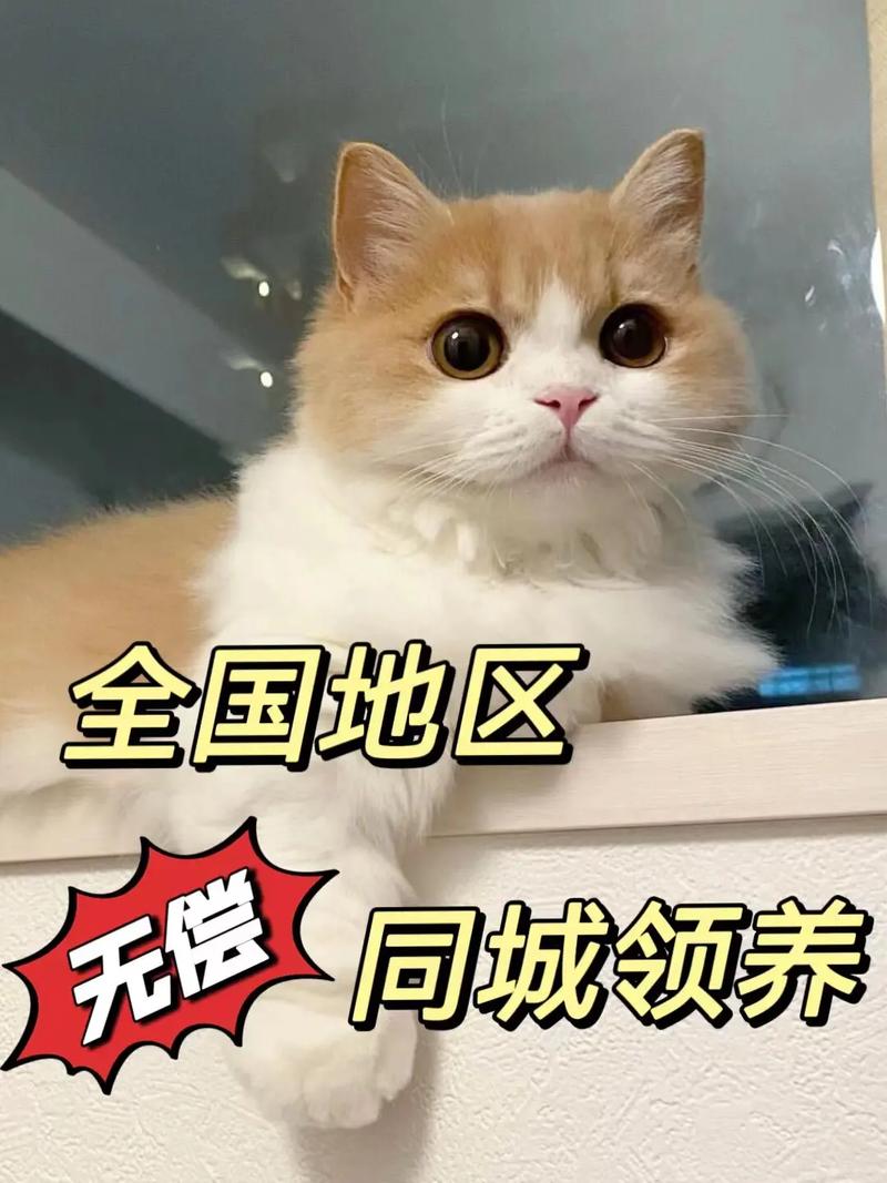 王者榮耀怎么寵物變大，王者西游寵物-第6張圖片-猴鯊游戲