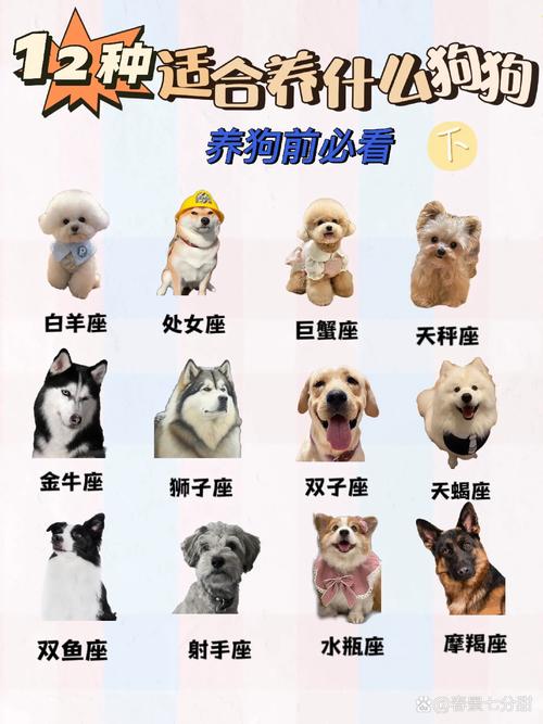 王者榮耀天蝎的本命打野，王者榮耀天蝎座本命打野？-第5張圖片-猴鯊游戲