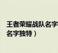 王者榮耀尖兵技巧教學(xué)，王者榮耀尖兵技巧教學(xué)圖解-第1張圖片-猴鯊游戲