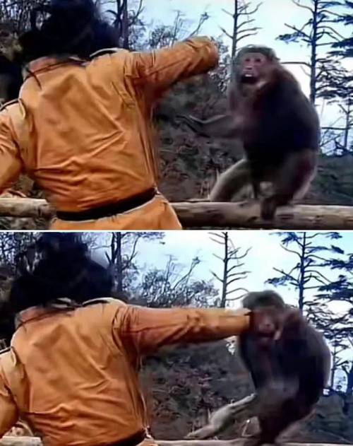 王者榮耀精彩猴子擊殺，王者榮耀猴子擊敗特效-第4張圖片-猴鯊游戲