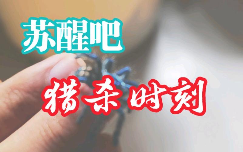 王者榮耀射手們臺(tái)詞？王者榮耀射手段子？-第3張圖片-猴鯊游戲
