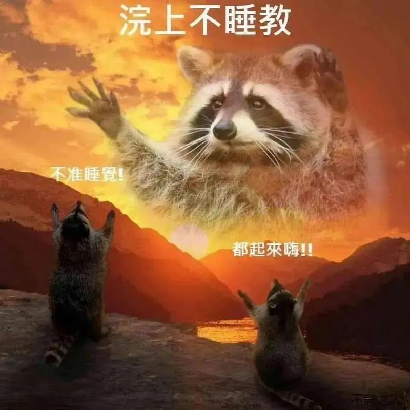 王者榮耀浣熊君小丑？王者浣熊君直播？-第7張圖片-猴鯊游戲