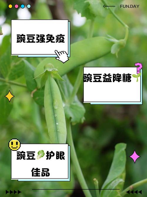 王者榮耀5個豌豆射手，王者榮耀5個豌豆射手多少錢-第2張圖片-猴鯊游戲