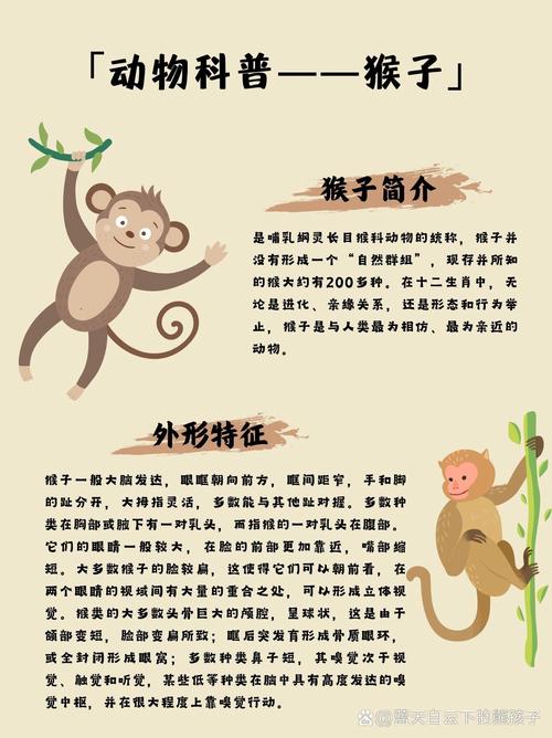王者榮耀打野猴子前期發(fā)育？王者榮耀猴子前期發(fā)育不起來如何打？-第1張圖片-猴鯊游戲