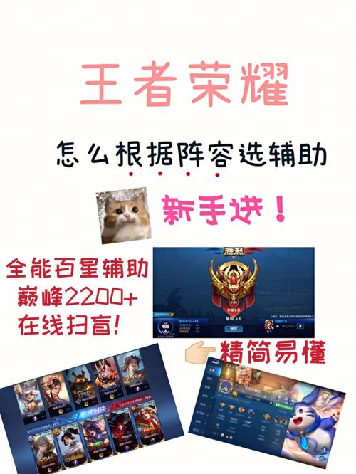 廈門王者榮耀打野輔助，王者榮耀野輔搭配