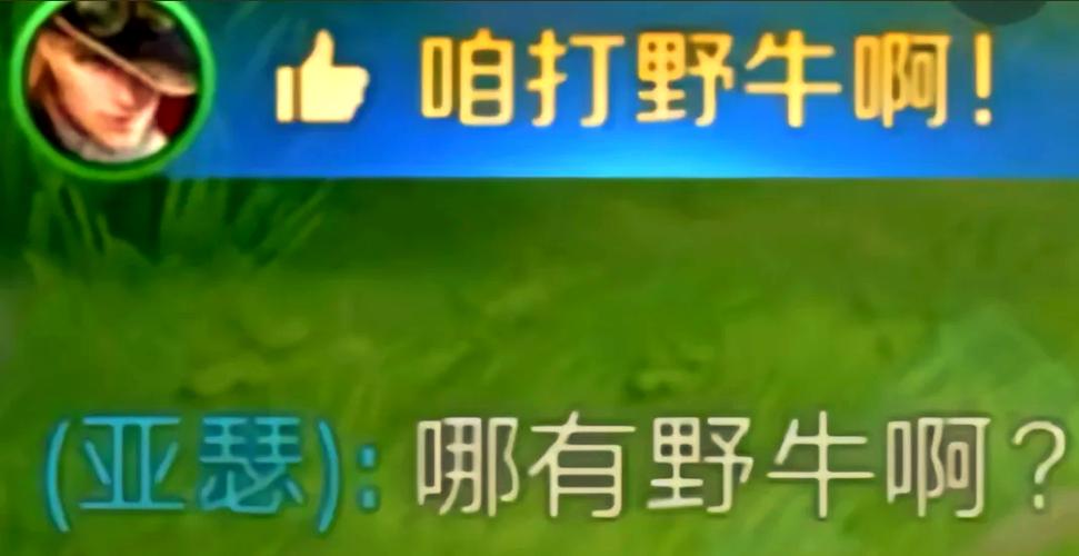 王者榮耀打野爆笑，王者打野游戲名搞笑的-第8張圖片-猴鯊游戲