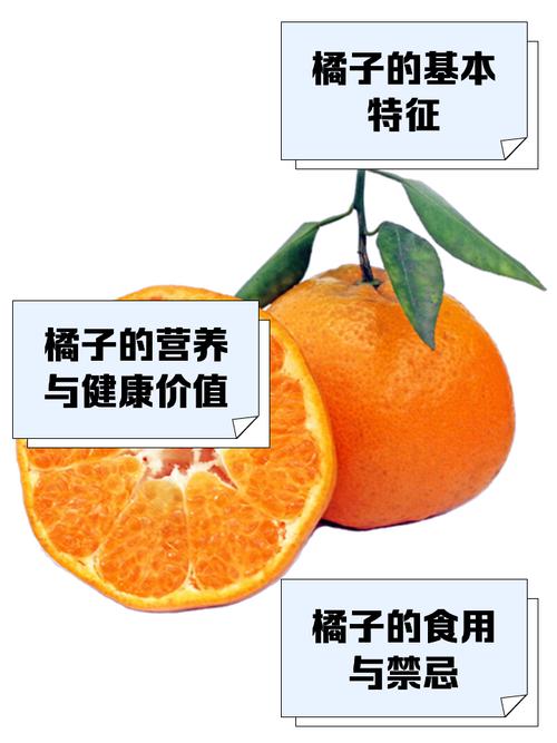 王者榮耀大神玩空翻，王者榮耀空白大神-第6張圖片-猴鯊游戲