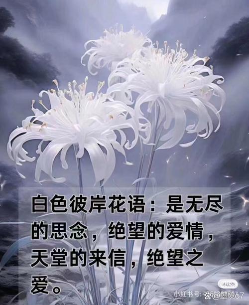 王者榮耀劉若英教學(xué)，王者榮耀劉垚-第3張圖片-猴鯊游戲
